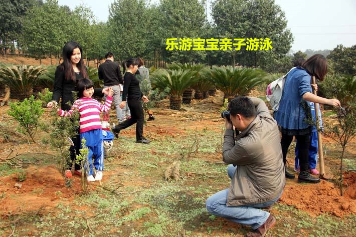 宝宝游泳,婴儿游泳,亲子游泳,乐游宝宝亲子游泳,小孩儿游泳