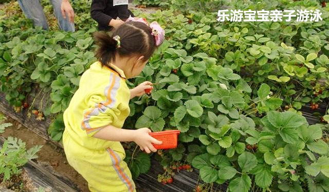 宝宝游泳,亲子游泳,婴儿游泳,乐游宝宝亲子游泳,小孩儿游泳